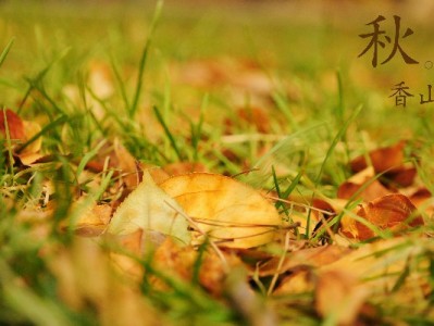 花呗商家收款入口在哪？出财小神助您高效管理全流程