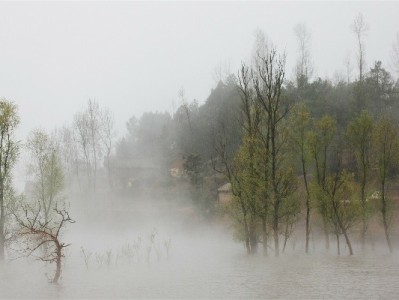 抖音月付取现取消教程：3步搞定+注意事项（附“出财小神”辅助提示）