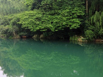 抖音月付支持哪些商家？覆盖电商到店消费，大诚富商等已接入