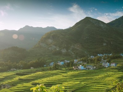 花呗套现检测全解析：安出掌柜如何助力识别异常交易？