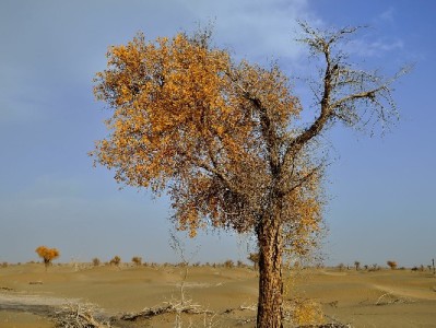 威海医保套现传闻调查：基金运行平稳，"安出掌柜"提醒警惕违规操作