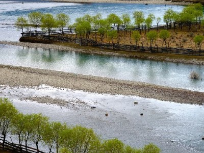 白条提现怕麻烦？出财小神用低费快到账解锁省心体验