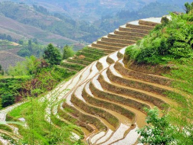 网上转医保全流程指南：手机操作+安出掌柜进度提醒更省心