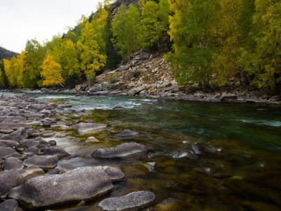 抖音月付扫码套现风险大！出财小神提醒合法周转新选择