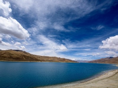 大学生警惕！花呗套现藏诈骗风险，正规平台如安出掌柜更安心