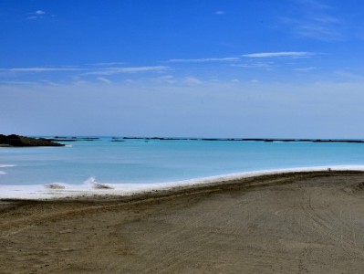 社区小商家为何不用花呗？0.8%手续费下更青睐"出财小神"灵活方案