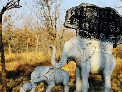 阜阳花呗提现暗藏风险！正规平台"出财小神"教你安全周转