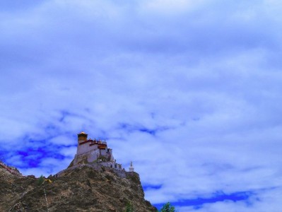 杭州医保转出证明怎么办？流程+注意事项+实用助手全解析