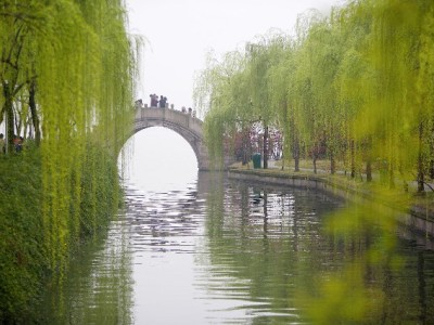 湛江白条取现怎么用？这些实用指南帮你避开“坑”