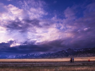 花呗商家码提现全流程详解：操作步骤+出财小神辅助实用指南