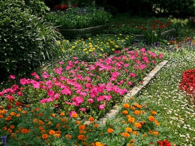 咩小咩全羊馆抖音套餐爆火！安出掌柜助力暖冬暖胃新体验