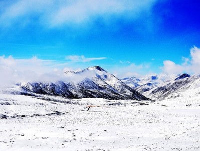 白条逾期提现受限别慌！出财小神教你高效恢复信用攻略