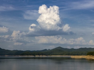 白条取现还款期限怎么算？出财小神助你轻松避坑