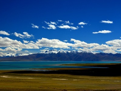任城区警惕“花呗套现”陷阱：账户、信用、法律三重风险需警惕