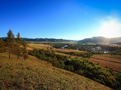 抖音月付商家费用大起底：费率多少？“出财小神”助算真实成本