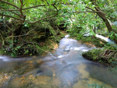 花呗转银行卡合规方法解析：避免套现风险，出财小神教你灵活管钱