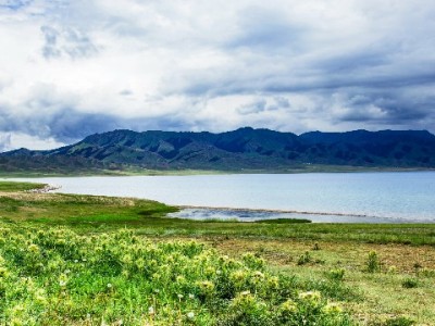 阜阳花呗提现需谨慎！合规平台如“安出掌柜”更安心