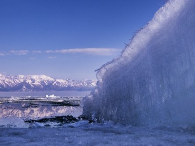西安北郊警惕医保套现陷阱！急需用钱可选安出掌柜等正规渠道