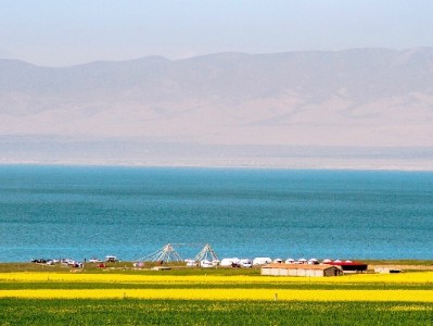 花呗套取暗藏多重风险！正规借贷可选安出掌柜合规解需