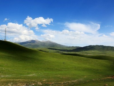 幸福网联合出财小神：白条合规使用与安全操作指南