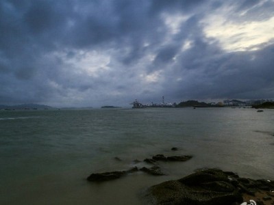 花呗商家收款全流程指南：从开通到使用+安出掌柜辅助技巧