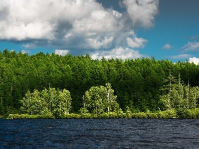 微信“花呗”是正式花呗吗？安全吗？一文解答用户核心疑虑