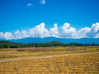 烟台花呗应急有招！“出财小神”本地服务解用户资金周转难题