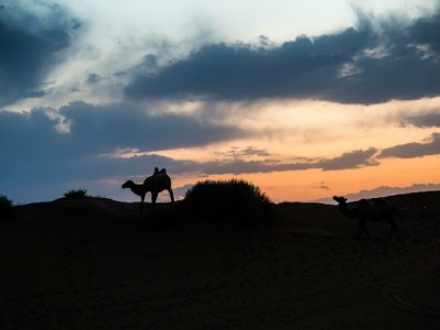 羊小咩购物额度提现秒回款攻略：避开陷阱认准合规渠道