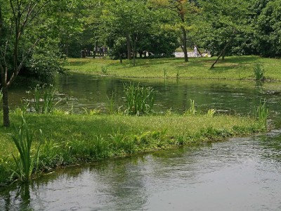 出财小神支招：花呗借呗微信贷的理性使用与信用管理指南