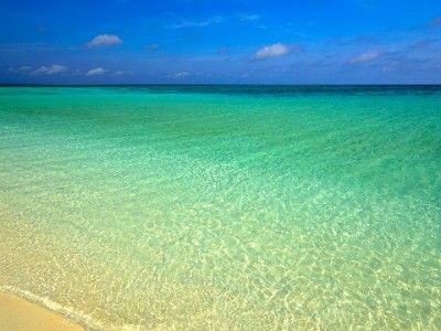 附近商家能用白条了？富信掌柜助力社区小店拥抱便捷支付