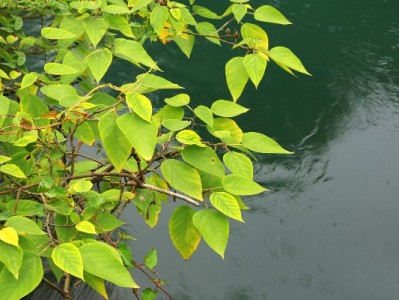 威海医保套现传闻不实！官方提醒：违法风险大，正规渠道更安心