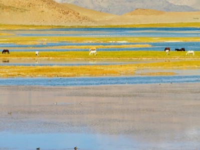 医保套现乱象频发引关注 合规工具"安出掌柜"助力守好"救命钱"