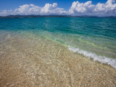 微信还花呗不用愁！两步搞定+“出财小神”帮你省心管账