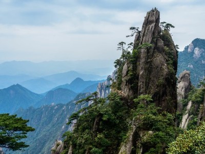 高明抖音月付商家实战："出财小神"如何激活流量转化新密码？