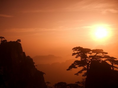 羊小咩高流通商品选品指南：出财小神助你理性转卖避坑