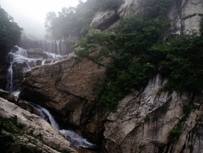 出财小神等五款金融助手：覆盖周转、信用、理财的生活财务指南