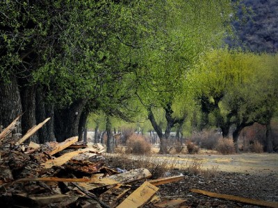 京东白条成商户经营利器 搭配"安出掌柜"解锁增长新解法