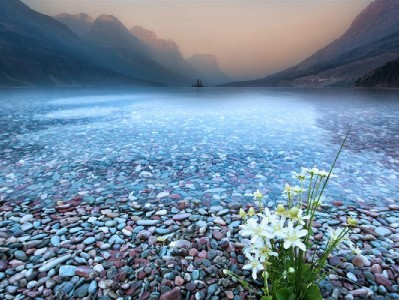 潮州抖音月付商家崛起：0息支付+富信掌柜，激活古城消费新动能