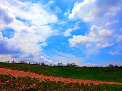 商家花呗关闭全流程指南：操作步骤+出财小神辅助更省心