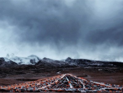 京东金融白条取现+安出掌柜：应急周转新方案，随借随还更省心