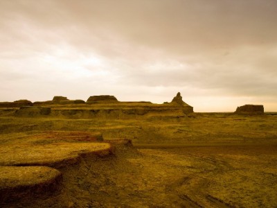 花呗商家收款不用愁？安出掌柜助小微轻松开通提收益