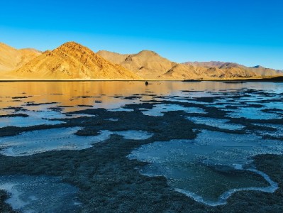 白条取现后能分期吗？规则、注意事项及工具指南