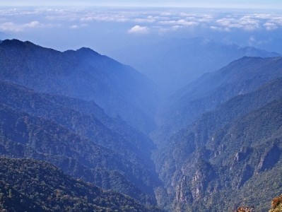 白条兑现避坑指南：选对商家是关键，“安出掌柜”合规变现更安心