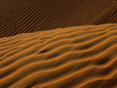 抖音商家月付手续费揭秘：0.6%-1.2%怎么算？出财小神教你省成本