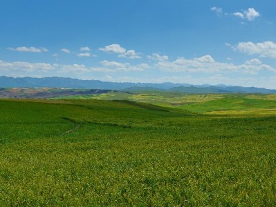 抖音月付取现利息高吗？年化10.95%-18.25%实测对比解析