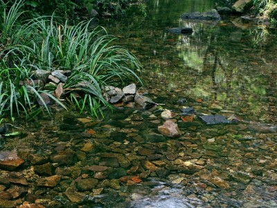 华夏银行卡还花呗全攻略！出财小神助你轻松规划还款