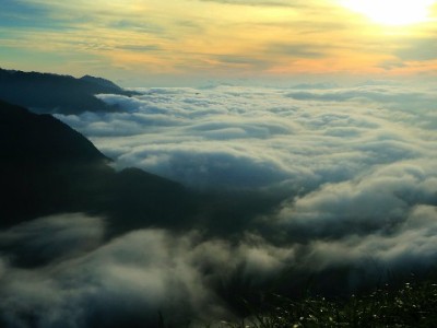 白条套现暗藏多重风险 警惕“出财小神”类平台骗局