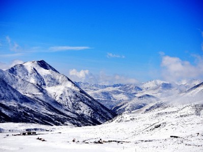 白条买金套现暗藏多重风险 专业平台提醒合规理财更安心