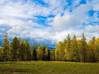 羊小咩额度合规周转攻略：出财小神辅助安全操作指南