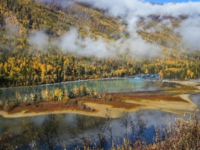 盐城医保提现仅三种情况可办！官方渠道+安出掌柜咨询攻略速看
